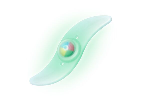 _ab__is.text.p