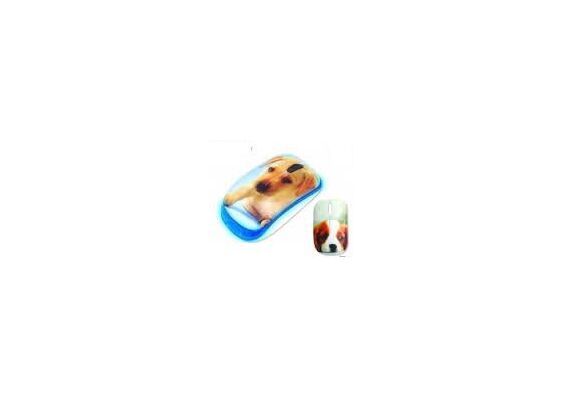 _ab__is.text.p